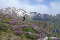 Поход по Ирану