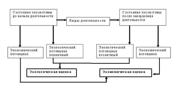 Принципиальная схема эколого-экономической оценки влияния сельскохозяйственной деятельности на состояние природных ресурсов агросферы