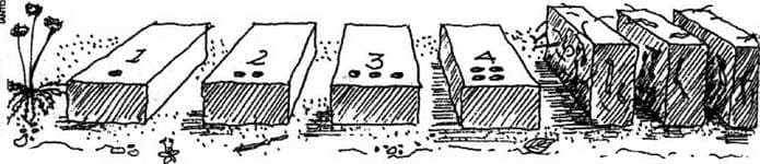 Дом из Самана-испытание смеси