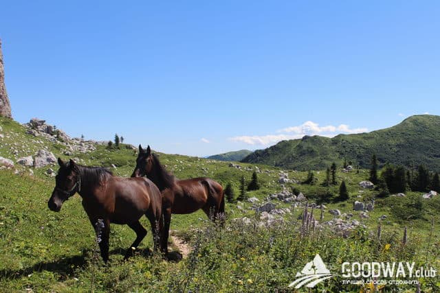 Отзыв о походе по Кавказу, маршрут 30