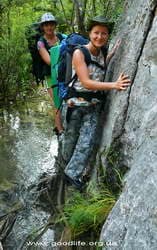 Чернореченский каньон-переход по брёвнам