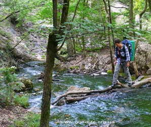 Каньон Узунджа