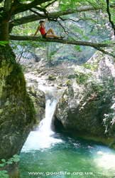 Большой Каньон-я на дереве