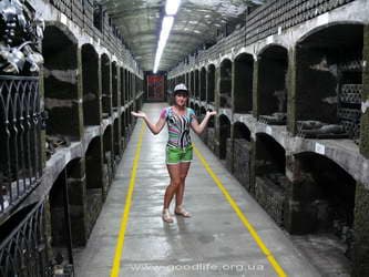 Массандровский винзавод-энотека