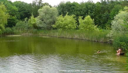 купание в озере