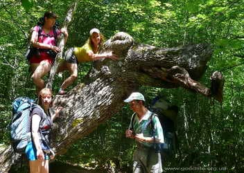 Крокодил Гена