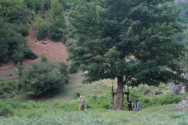 Отзыв о походе и восхождении на Демавенд в Иране