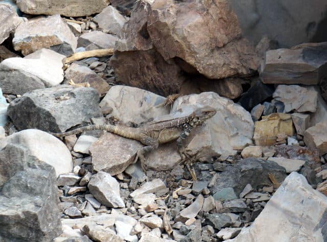 Отзыв о походе и восхождении на Демавенд в Иране