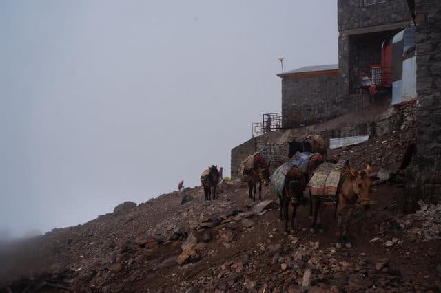 Отзыв о походе и восхождении на Демавенд в Иране