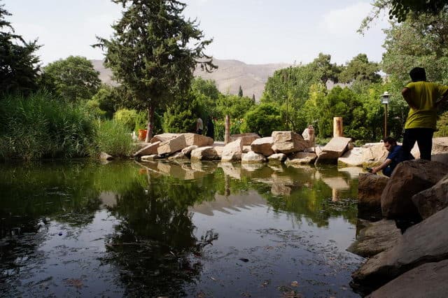 Отзыв о походе и восхождении на Демавенд в Иране