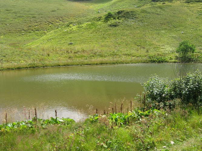 Поход по Кавказу Тридцатка