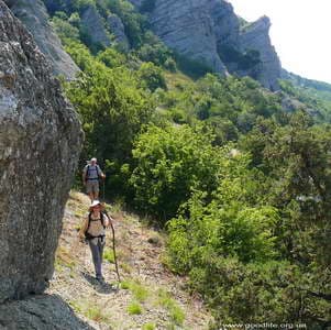 взрослая тропаа взрослая тропа