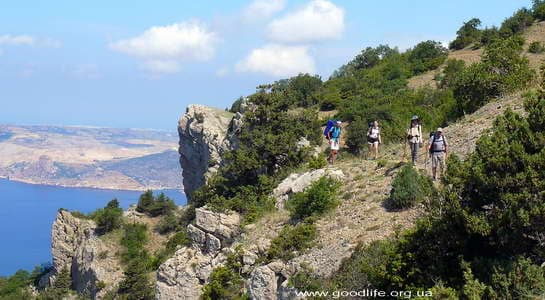 взрослая тропа взрослая тропа