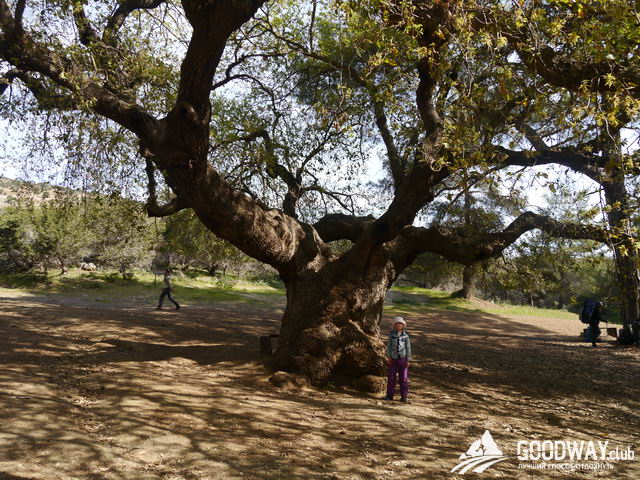 поход по Кипру с детьми