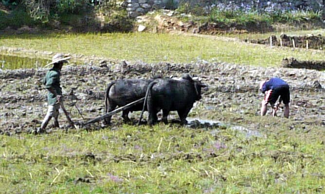 Непал-трек к Базовому лагерю Аннапурны