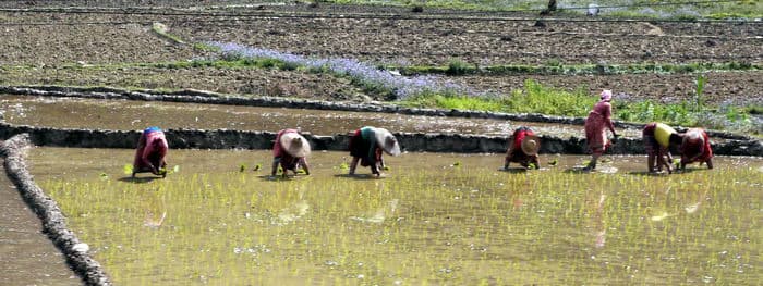 Непал-трек к Базовому лагерю Аннапурны