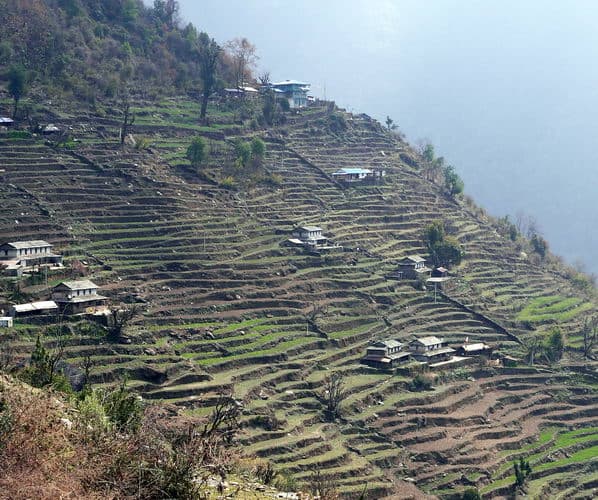 Непал-трек к Базовому лагерю Аннапурны