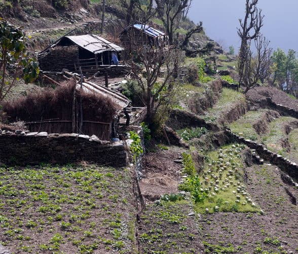 Непал-трек к Базовому лагерю Аннапурны