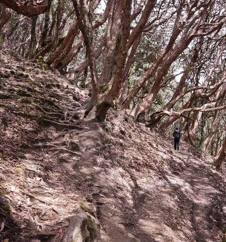 Непал-трек к Базовому лагерю Аннапурны