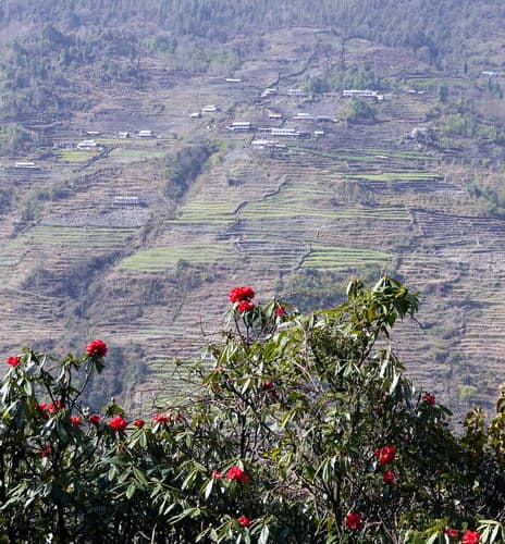 Непал-трек к Базовому лагерю Аннапурны
