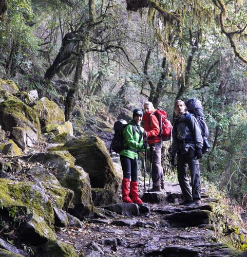 Непал-трек к Базовому лагерю Аннапурны