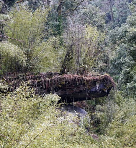 Непал-трек к Базовому лагерю Аннапурны