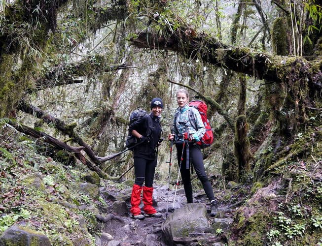Непал-трек к Базовому лагерю Аннапурны
