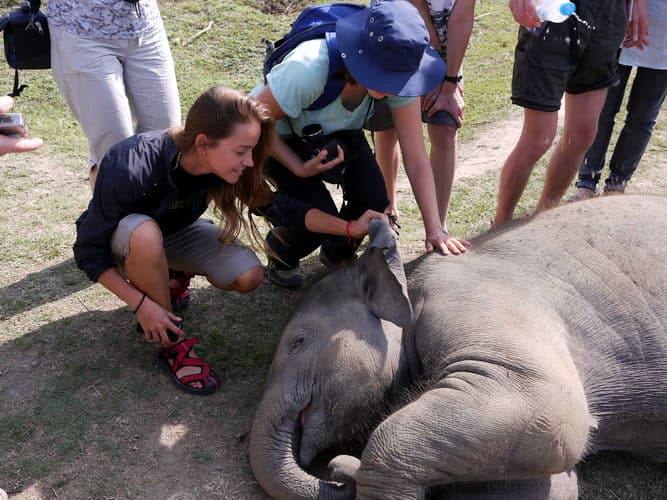 Непал-трек к Базовому лагерю Аннапурны