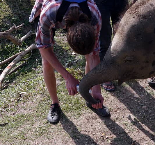 Непал-трек к Базовому лагерю Аннапурны