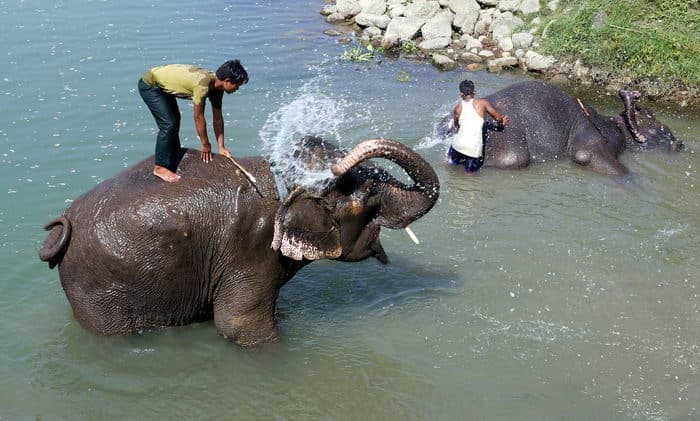 Непал-трек к Базовому лагерю Аннапурны