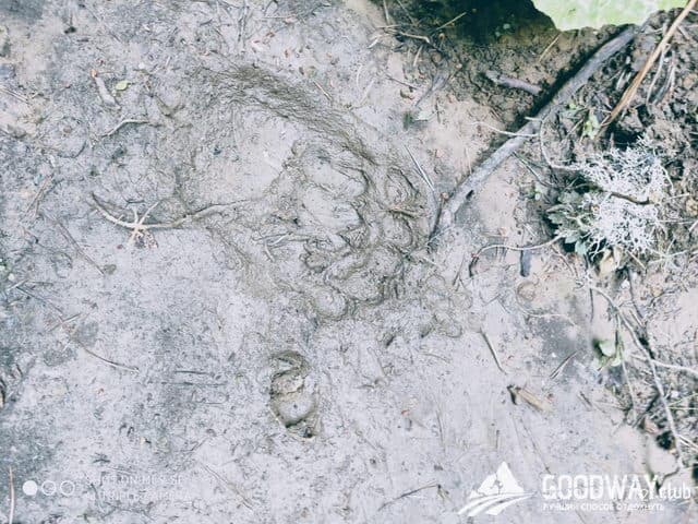 Поход на Кавказе Большой и Малый Тхач