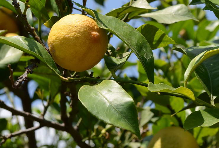 Поход по Турции