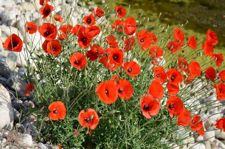 Поход по Турции