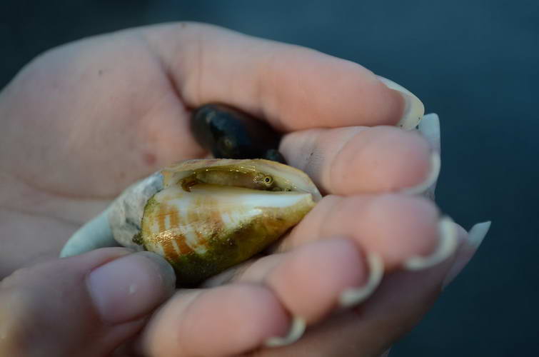 Поход по Турции