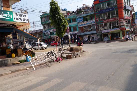 трек к базовому лагерю аннапурны, Непал