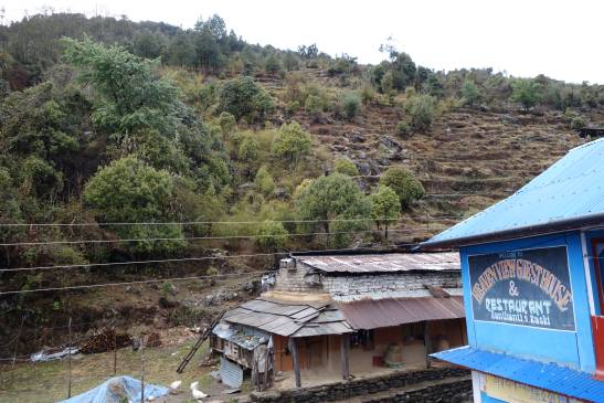 трек к базовому лагерю аннапурны, Непал