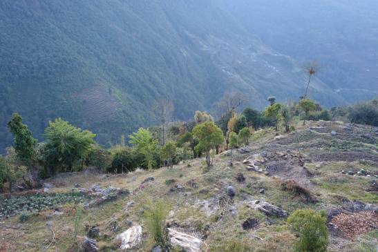трек к базовому лагерю аннапурны, Непал