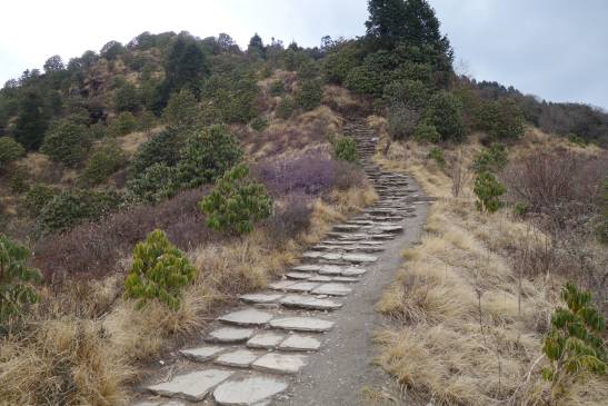 трек к базовому лагерю аннапурны, Непал