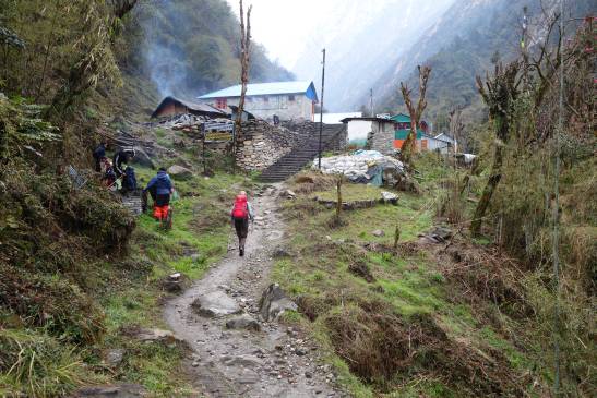 трек к базовому лагерю аннапурны, Непал