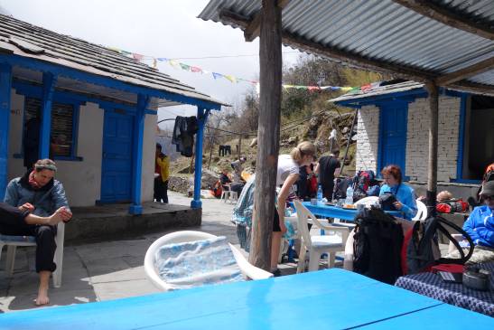 трек к базовому лагерю аннапурны, Непал