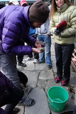 трек к базовому лагерю аннапурны, Непал