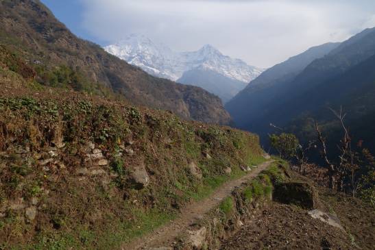 трек к базовому лагерю аннапурны, Непал