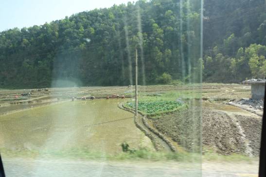 трек к базовому лагерю аннапурны, Непал