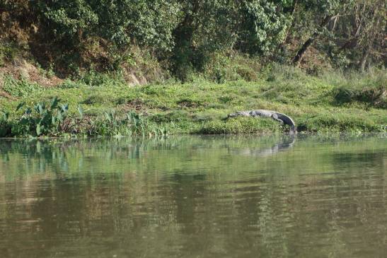 трек к базовому лагерю аннапурны, Непал