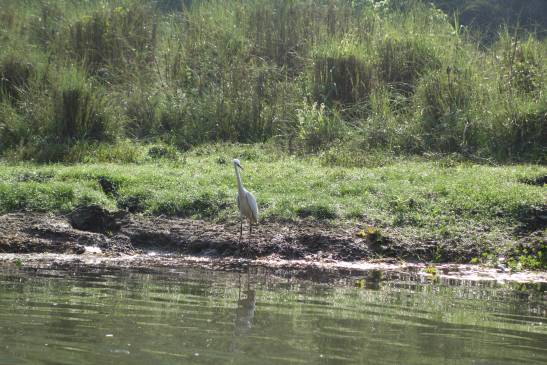 трек к базовому лагерю аннапурны, Непал