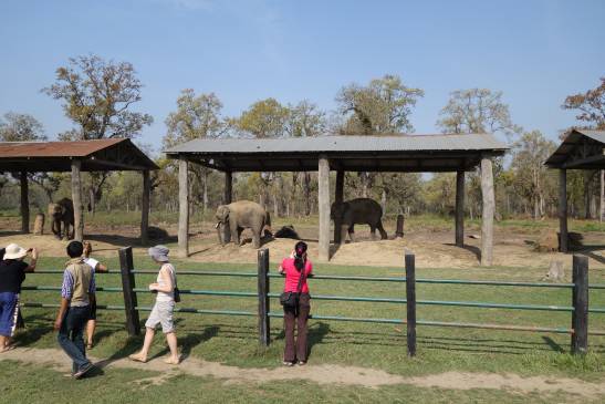 трек к базовому лагерю аннапурны, Непал