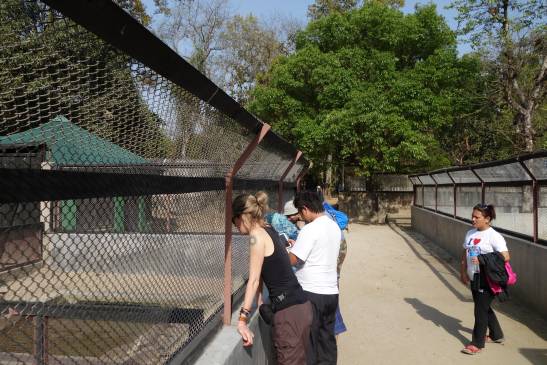 трек к базовому лагерю аннапурны, Непал