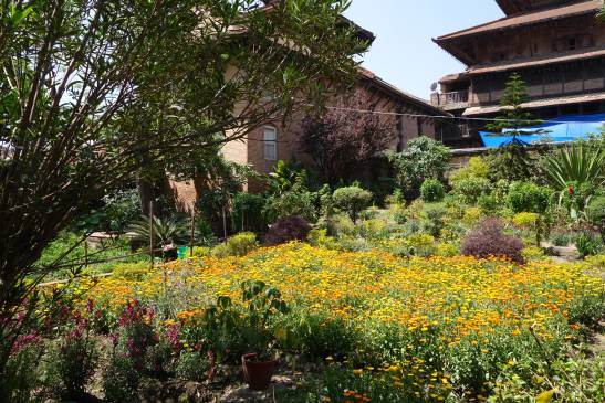 трек к базовому лагерю аннапурны, Непал