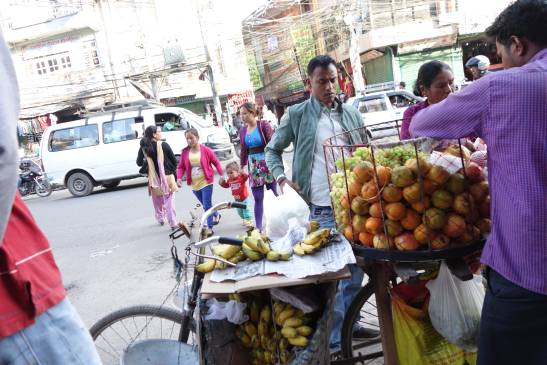 трек к базовому лагерю аннапурны, Непал
