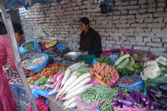 трек к базовому лагерю аннапурны, Непал